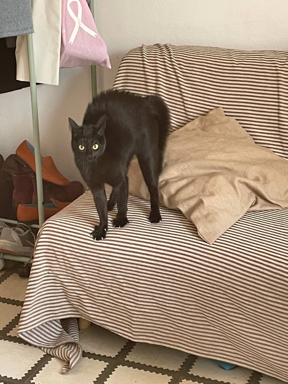 The Empress invites you to play