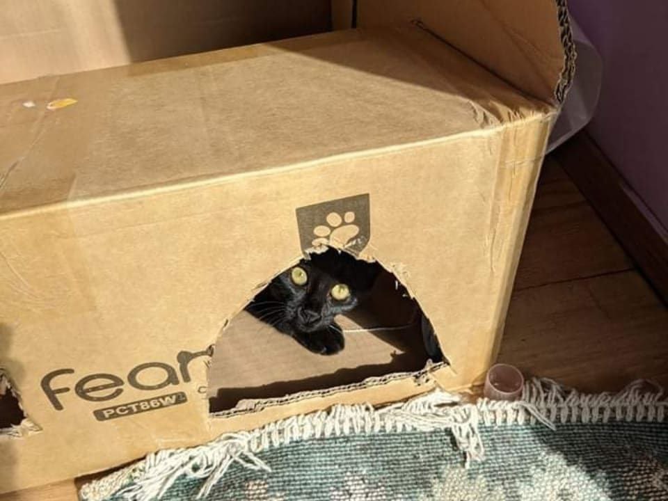 Technically here for unrelated reasons.