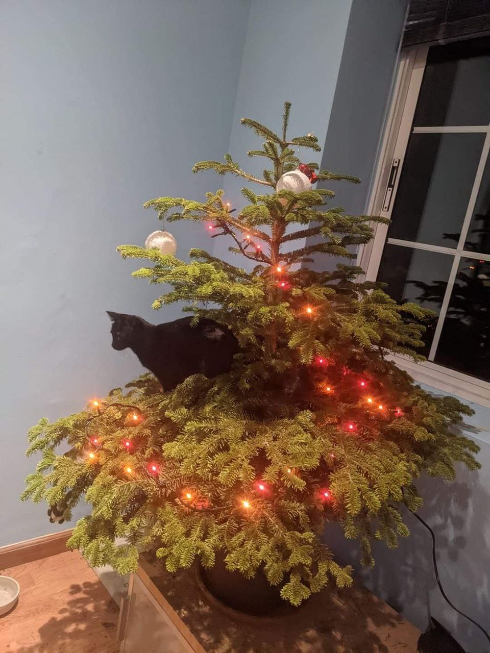 The throne is wherever she chooses.