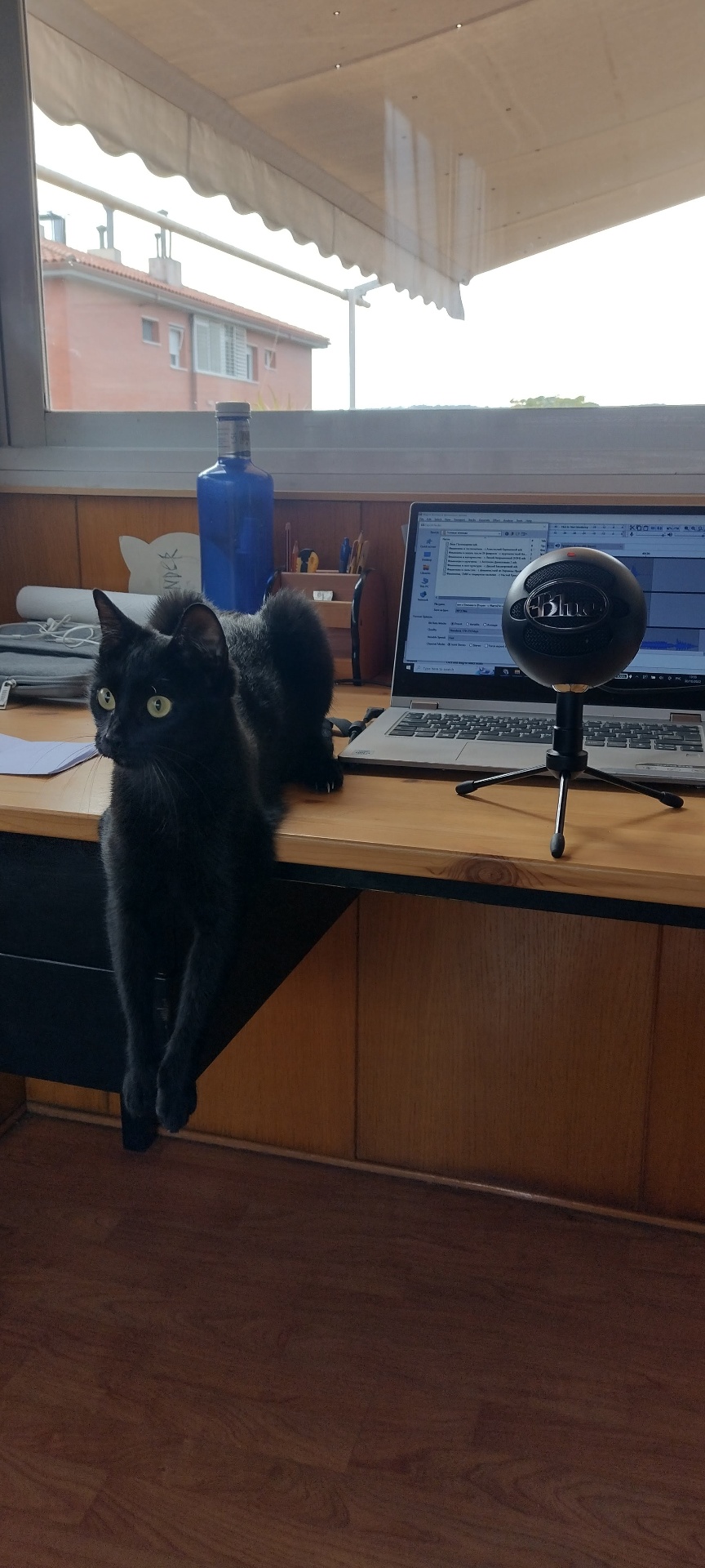 Engineer of the household.